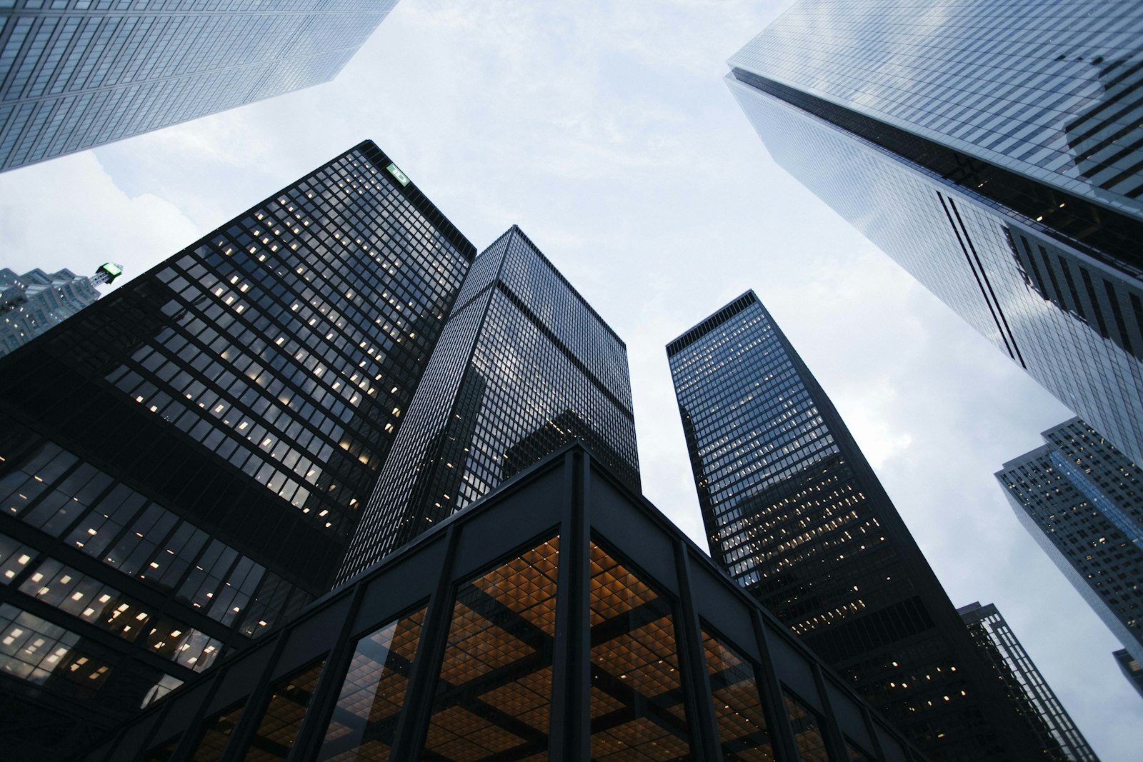 Company Profile